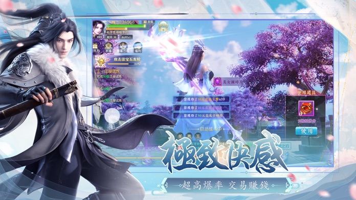 天地決游戏截图