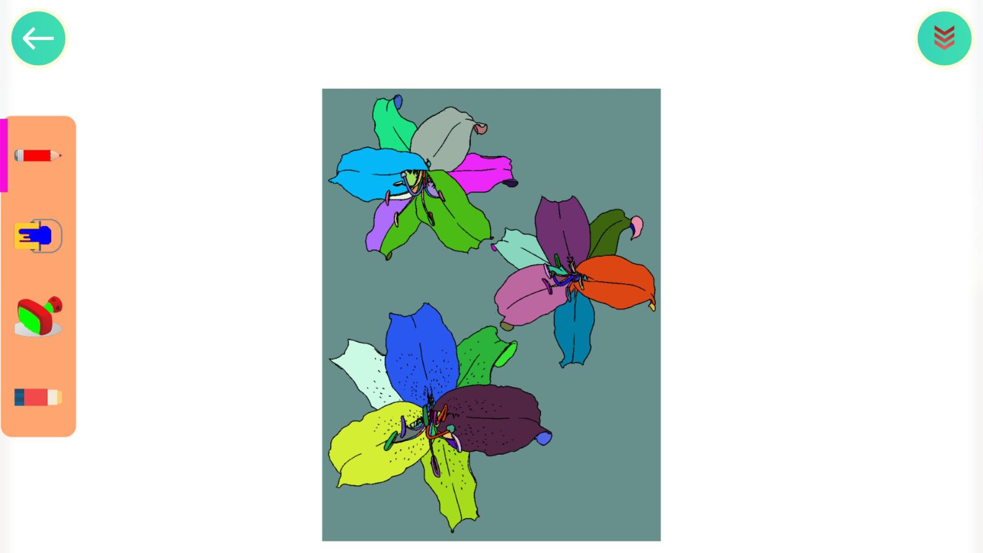 植物涂色世界HD游戏截图