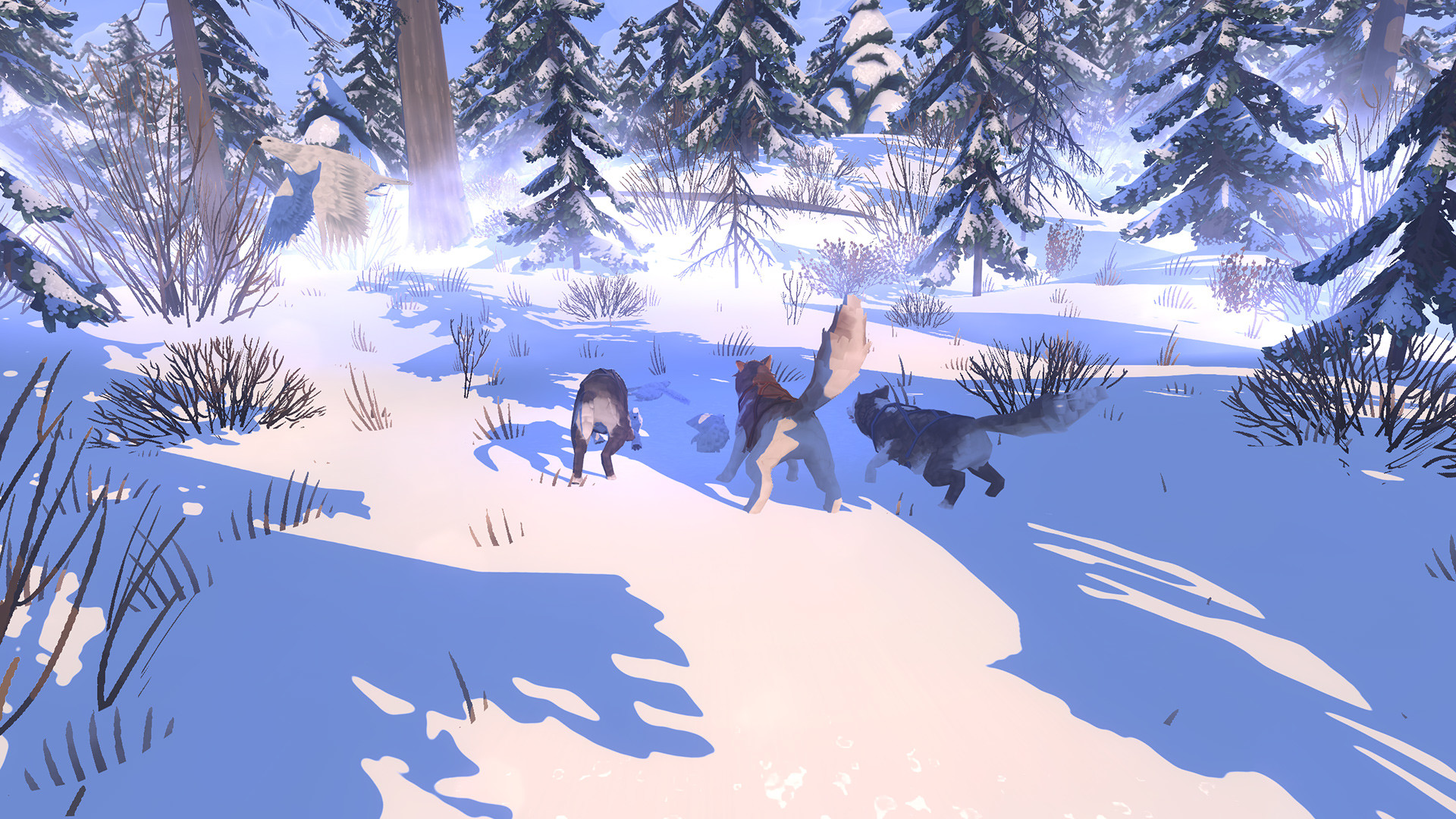 The Red Lantern游戏截图