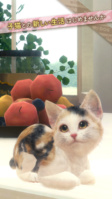 with My CAT - 猫とくらそう -游戏截图