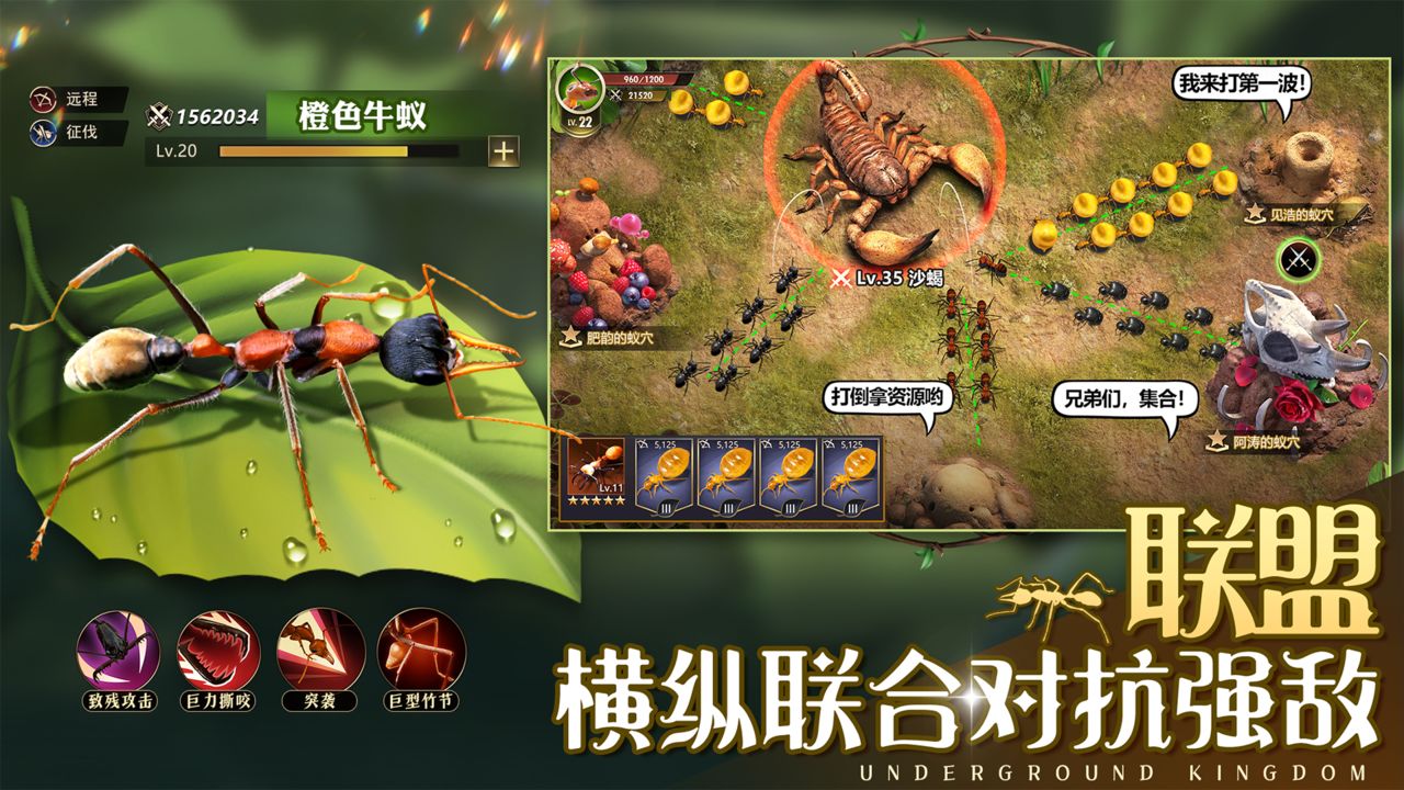 Screenshot of 小小蚁国