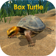 Box Turtle Simulator