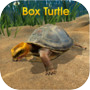 Box Turtle Simulatoricon