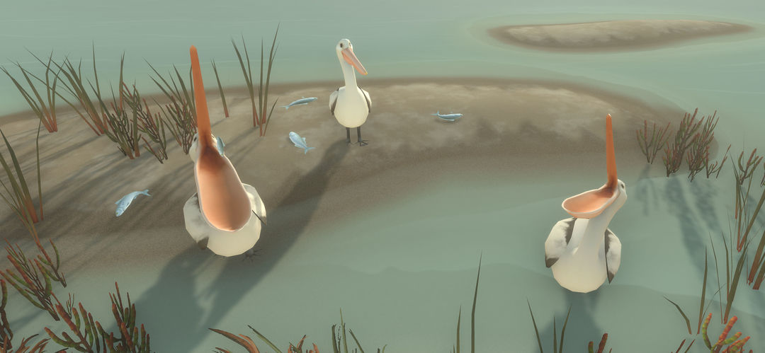 男孩与鹈鹕游戏截图