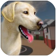 Virtual Pet Shelter Simulatoricon