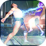 Karate Street Crime Fighter 3Dicon