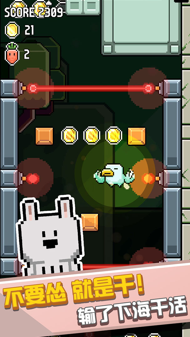 鸟大了什么林子都有游戏截图