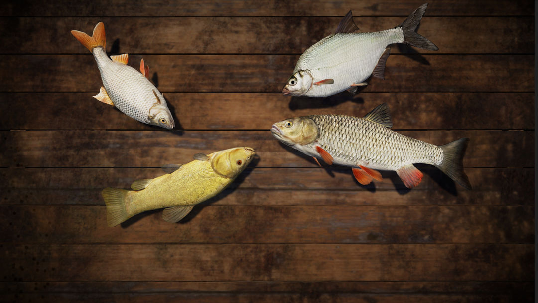 专业钓鱼游戏截图