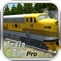 Train Sim Proicon