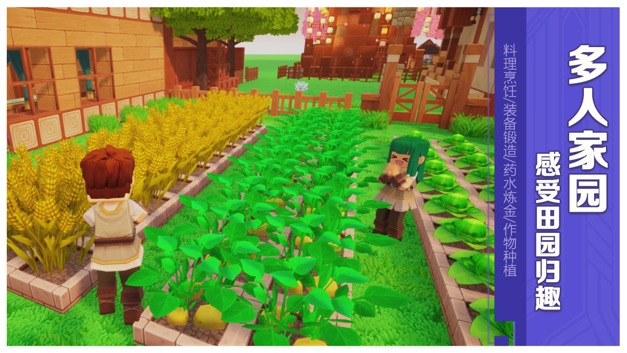 龙与家园游戏截图