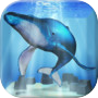 クジラ育成ゲーム-完全無料まったり癒しの鯨を育てる放置ゲームicon