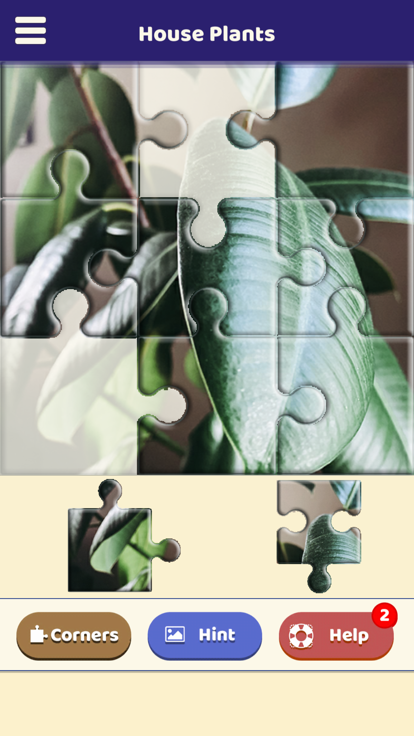 House Plants Puzzle游戏截图