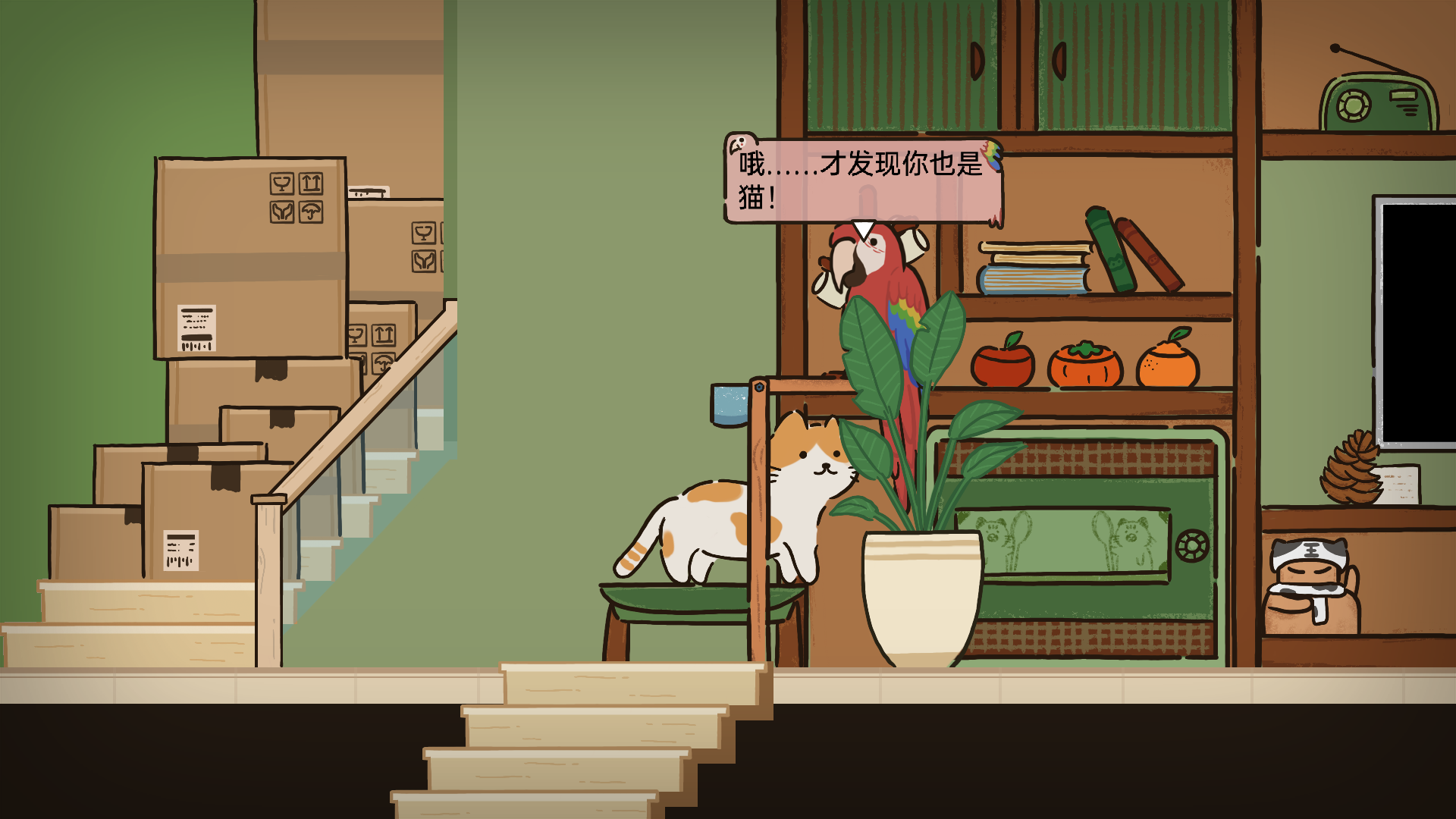 猫在家里游戏截图