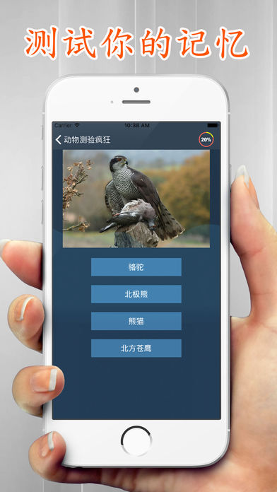 动物  测验狂热症 学习动物名称游戏截图