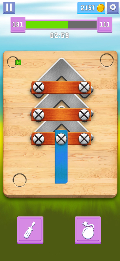 Screw Sorting Puzzle游戏截图