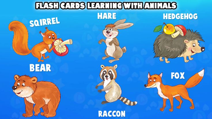EduLand - Animals Learning Activities游戏截图