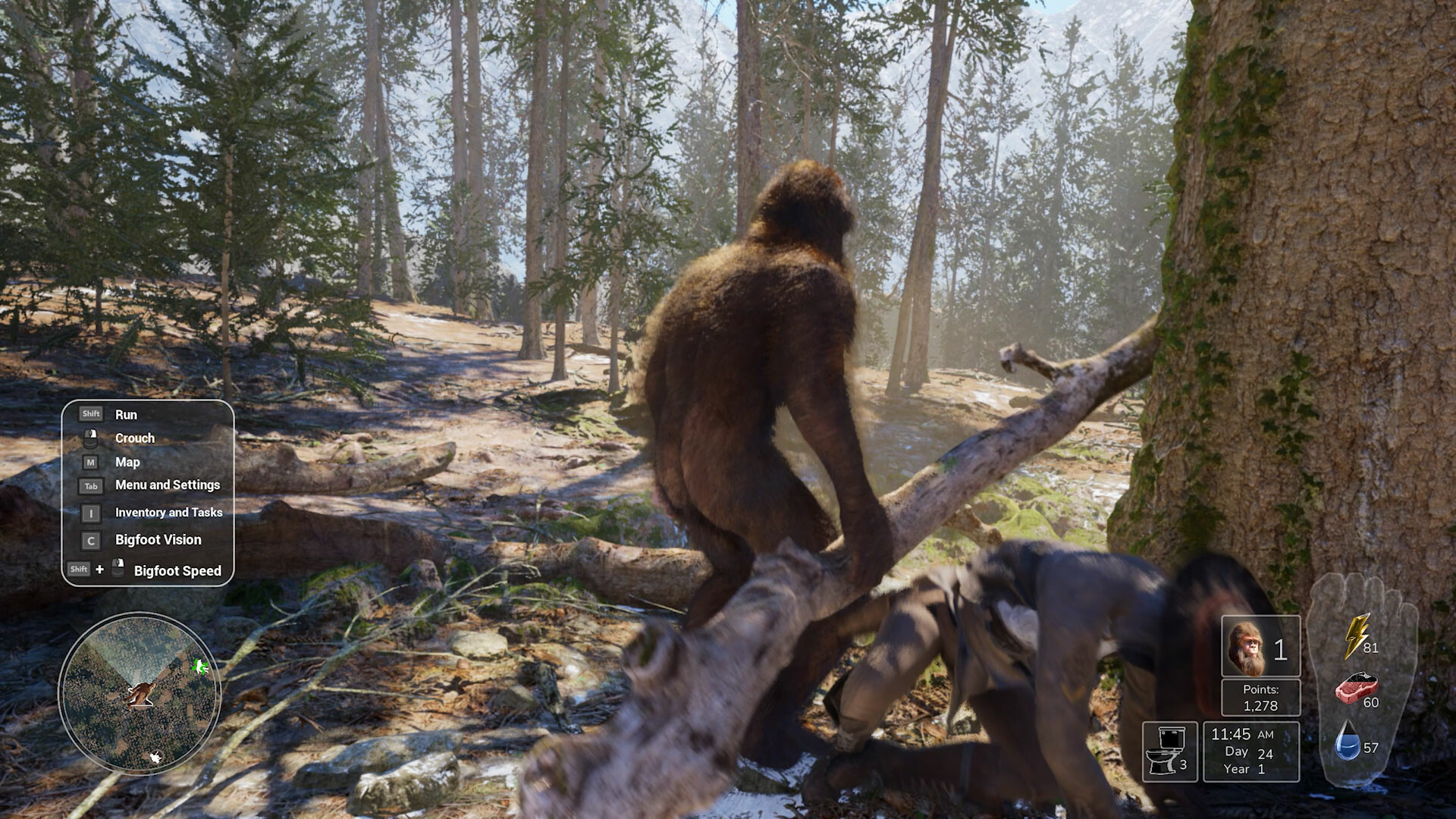 Bigfoot Life游戏截图