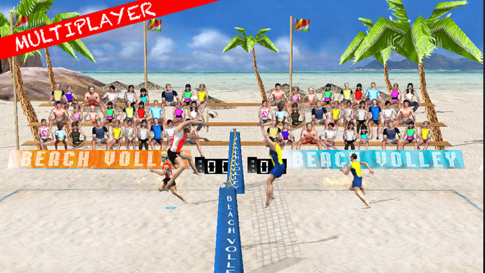 Beach Volley Pro游戏截图