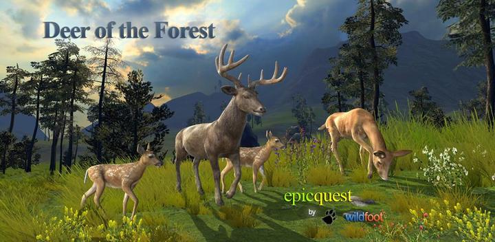 Deer of the Forest游戏截图