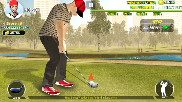 高尔夫完美镜头专家游戏截图