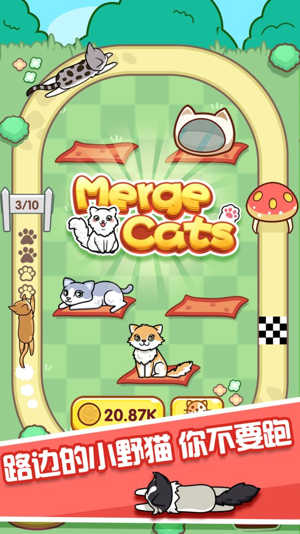 跑跑云养猫(测试版)游戏截图