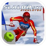 Slalom Ski Simulator