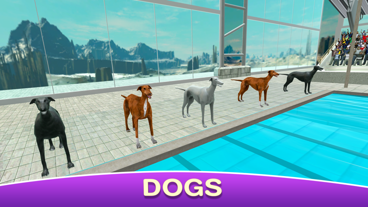 Dog Swimming Race游戏截图