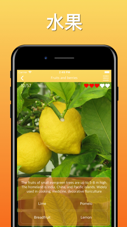 水果蔬菜浆果游戏截图