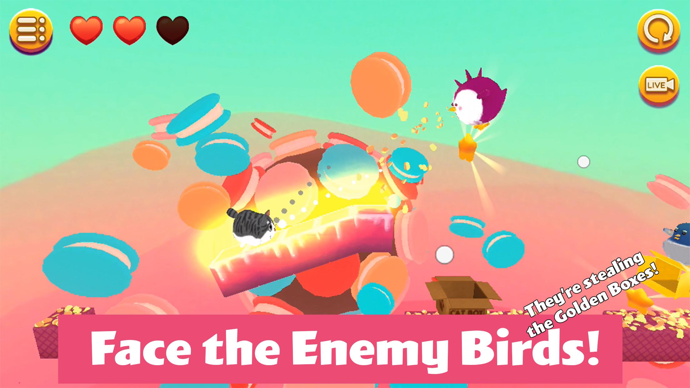 猫小盒2游戏截图