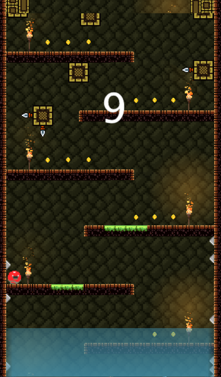 Ninja Run Escape游戏截图