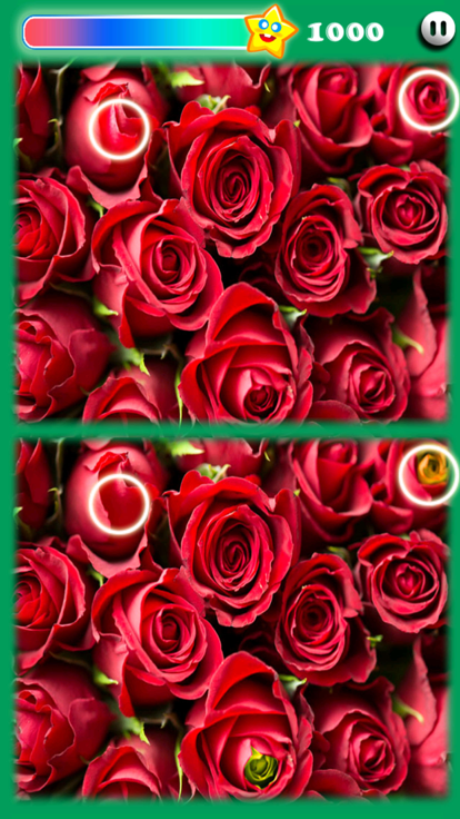 Photohut 2023游戏截图