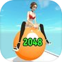 Yoga Ball Runicon