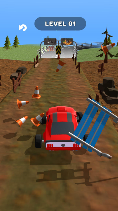 Choose and Race游戏截图