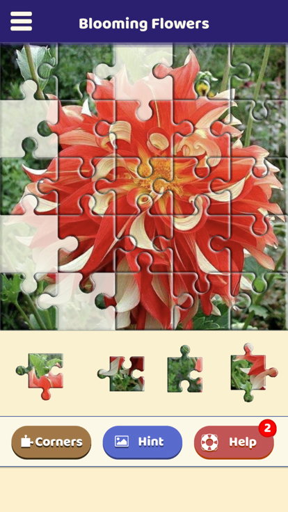 Blooming Flowers Puzzle游戏截图