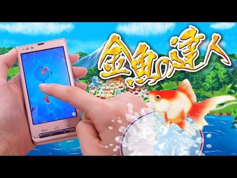 金魚の達人 暇つぶし無料金魚すくい釣りゲームrpg Android Download Taptap