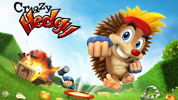 Crazy Hedgy - 3D Platformer游戏截图
