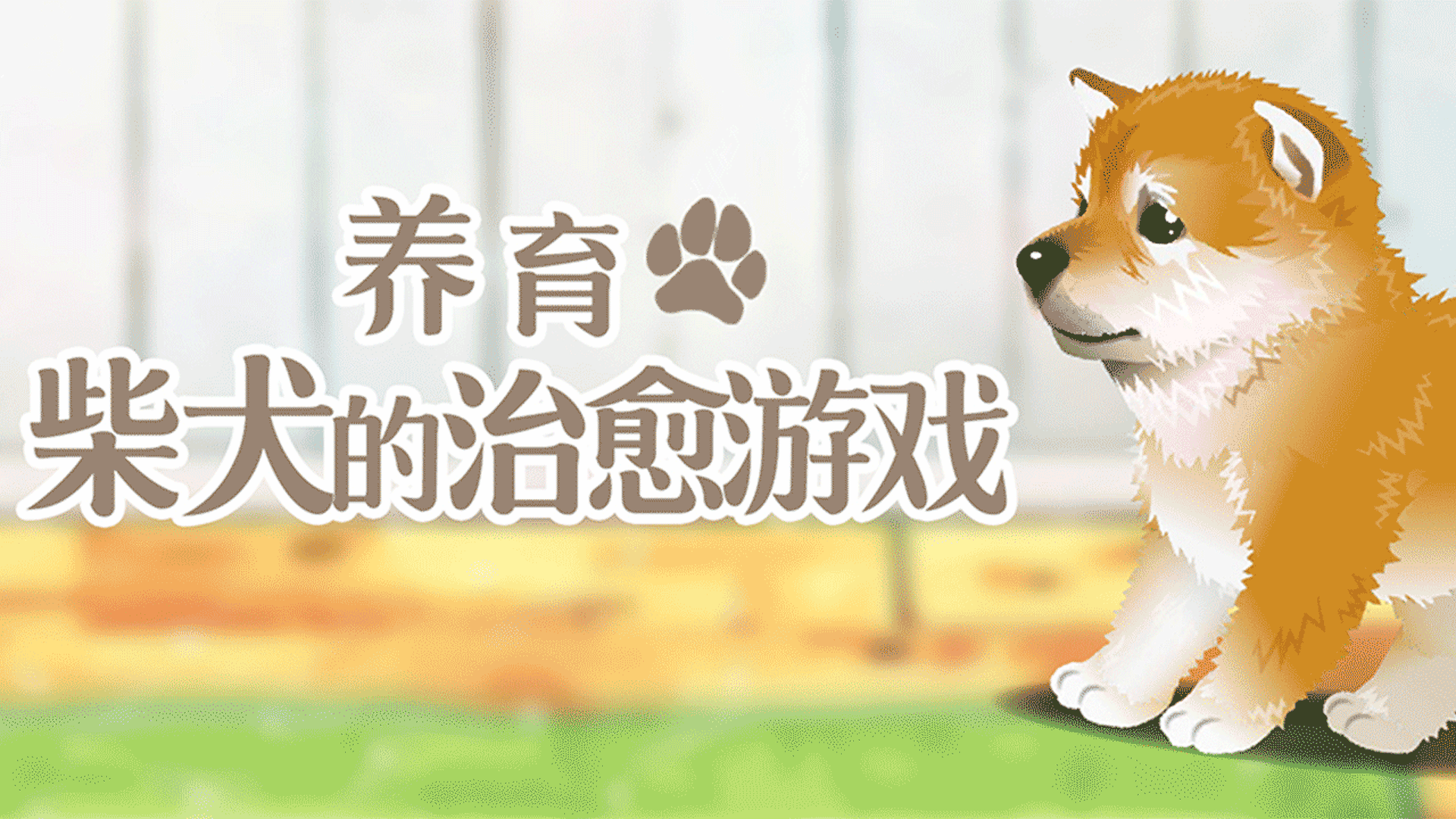 养育柴犬的治愈游戏游戏截图