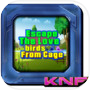 Can you Escape Birds From Cageicon