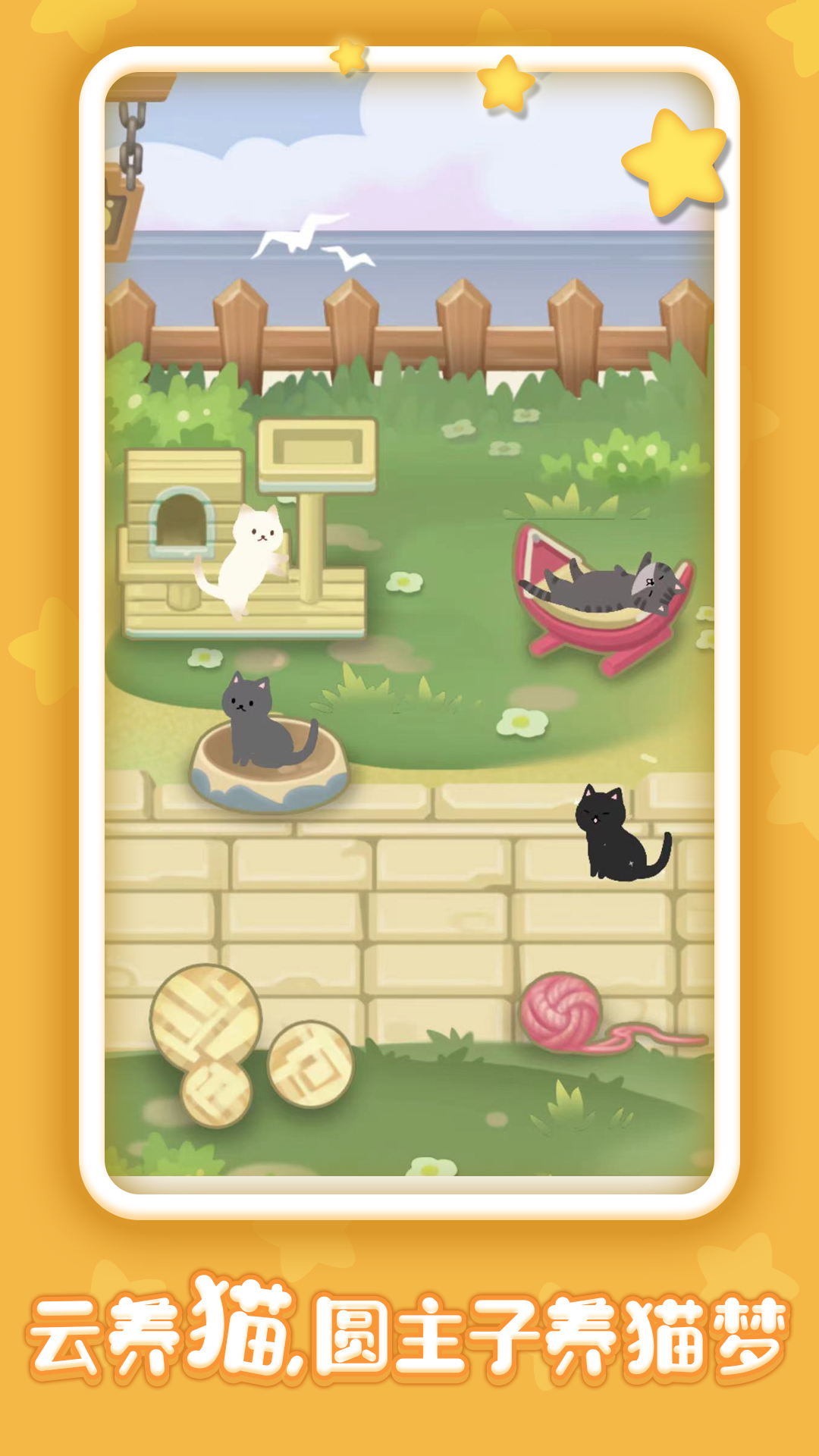 有间猫咪小院游戏截图