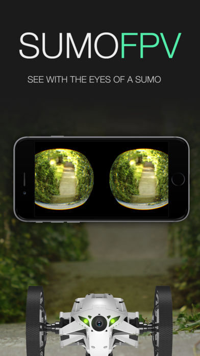 SumoFPV游戏截图