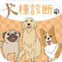 犬種診断icon