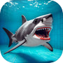 Shark Rescue At Ocean Beachicon