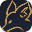 The Siege and the Sandfoxicon
