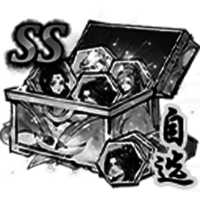 SS级伙伴自选*1