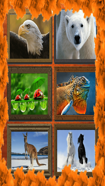 Jigsaw Puzzle: Animal游戏截图