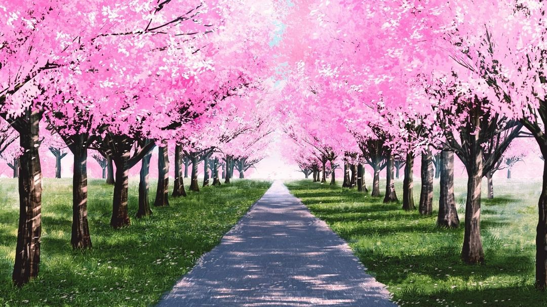 我的夏日冒险:另一种生活的回忆游戏截图