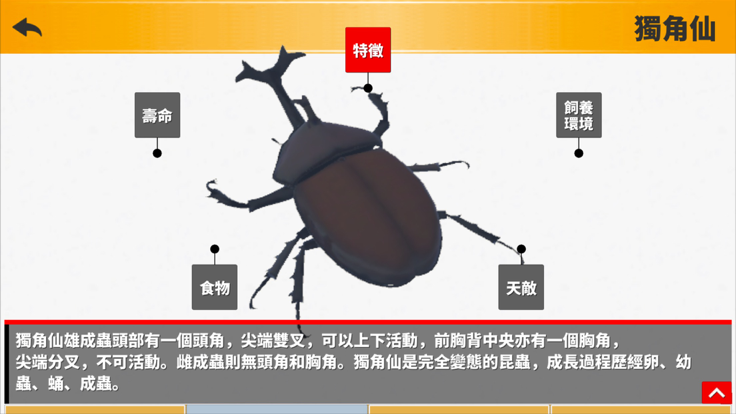 昆蟲飼養日記游戏截图