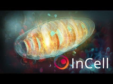 incell vr apk