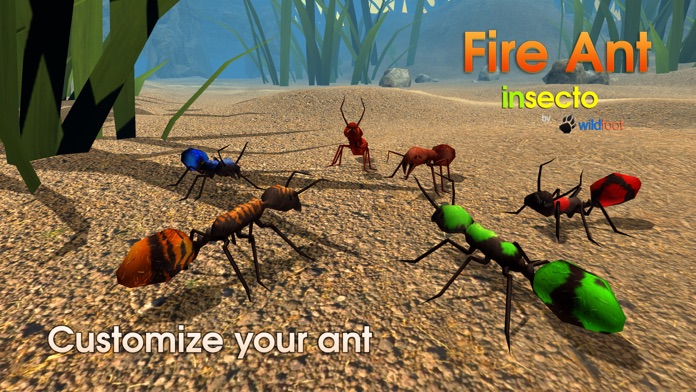 Fire Ant Simulator游戏截图