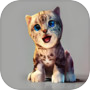 真实小猫3D模拟icon